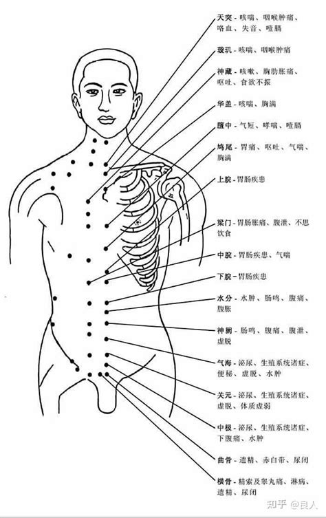 人身穴位圖|人体穴位图大全（带穴位功能主治说明）